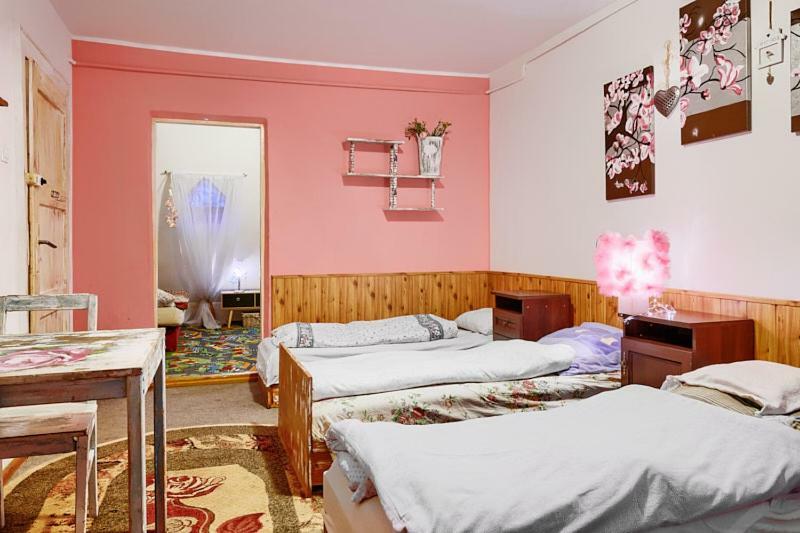 Bed and Breakfast Schronisko Srebrny Potok Lubawka Exterior foto