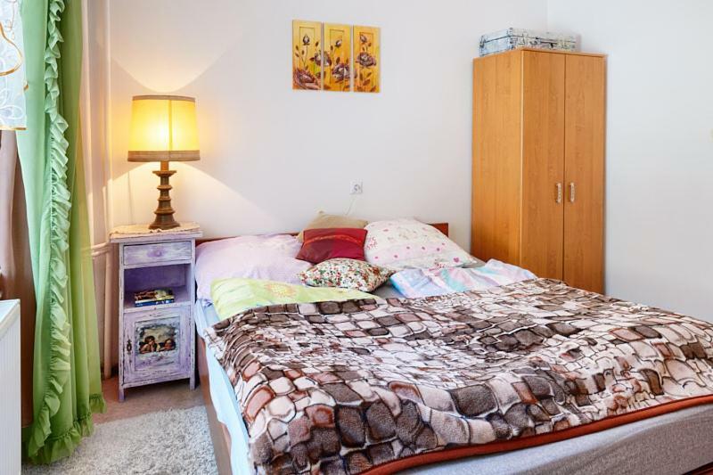 Bed and Breakfast Schronisko Srebrny Potok Lubawka Exterior foto